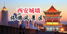 美女被帅哥用打大鸡巴捅进去中国陕西-西安城墙旅游风景区